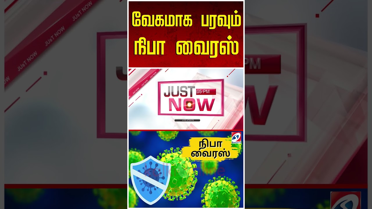 வேகமாக பரவும் நிபா வைரஸ்