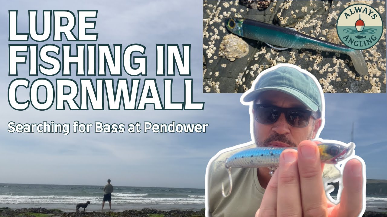 Lure Fishing for Sea Bass at Pendower Beach, Cornwall 🌊 | Fiiish Minnow & Savage Gear Action