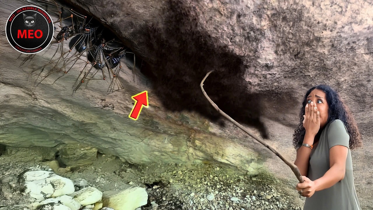 Strange Creatures and Strange Things You Must See to Believe | Incredible Moments (P4)