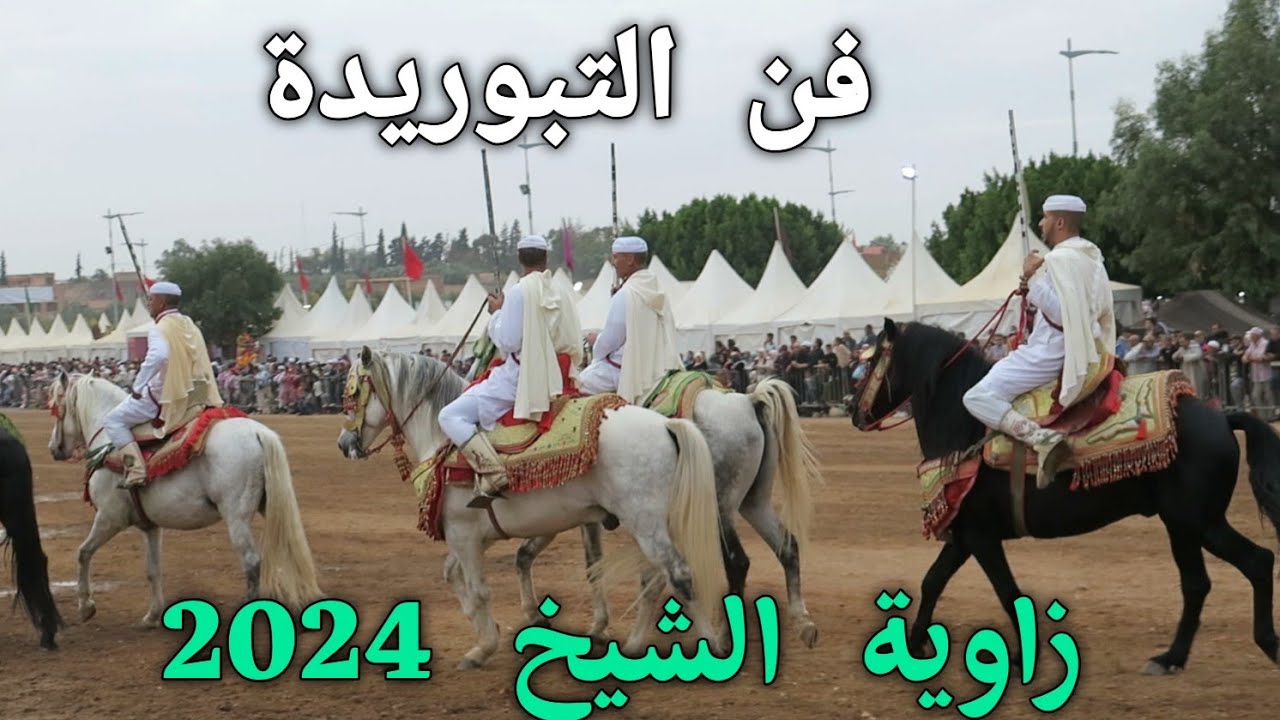 التبوريدة من محرك زاوية الشيخ  مهرجان الزيتون 2024..zaouïa cheikh  p.  Béni-mellal