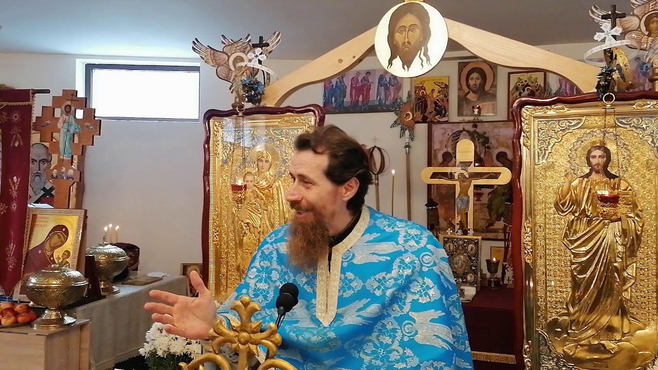 Păziți-vă de toată lăcomia! Pr. Claudiu Melean. 22.11.2020