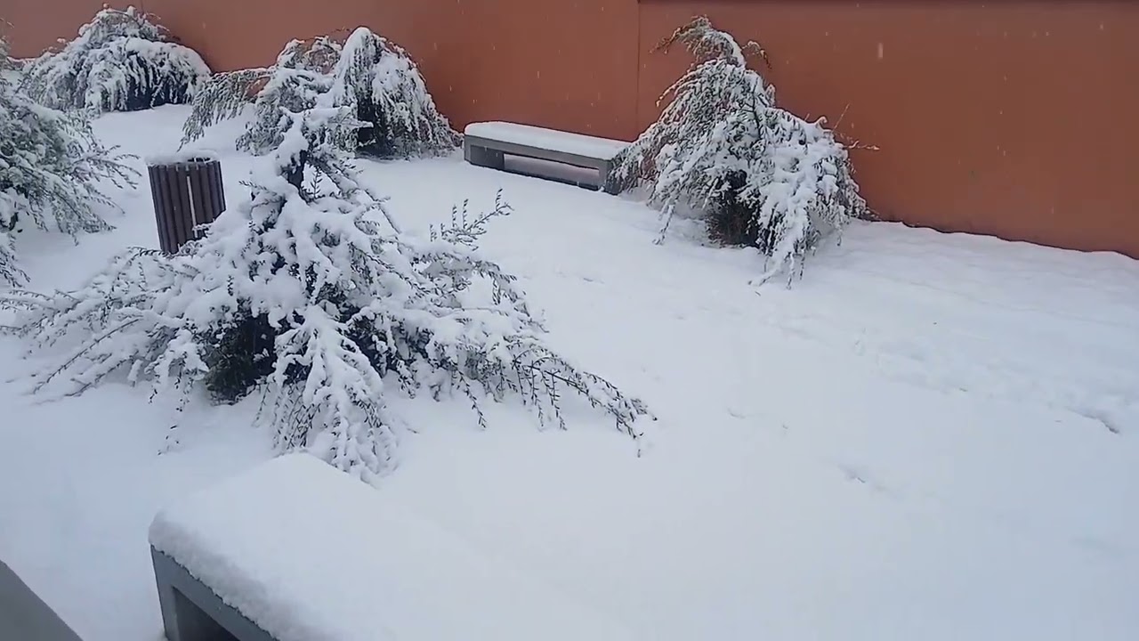 تساقطات الثلوج في ازيلال من اجمل ما يكون في فصل الشتاء❄️☃️☃️