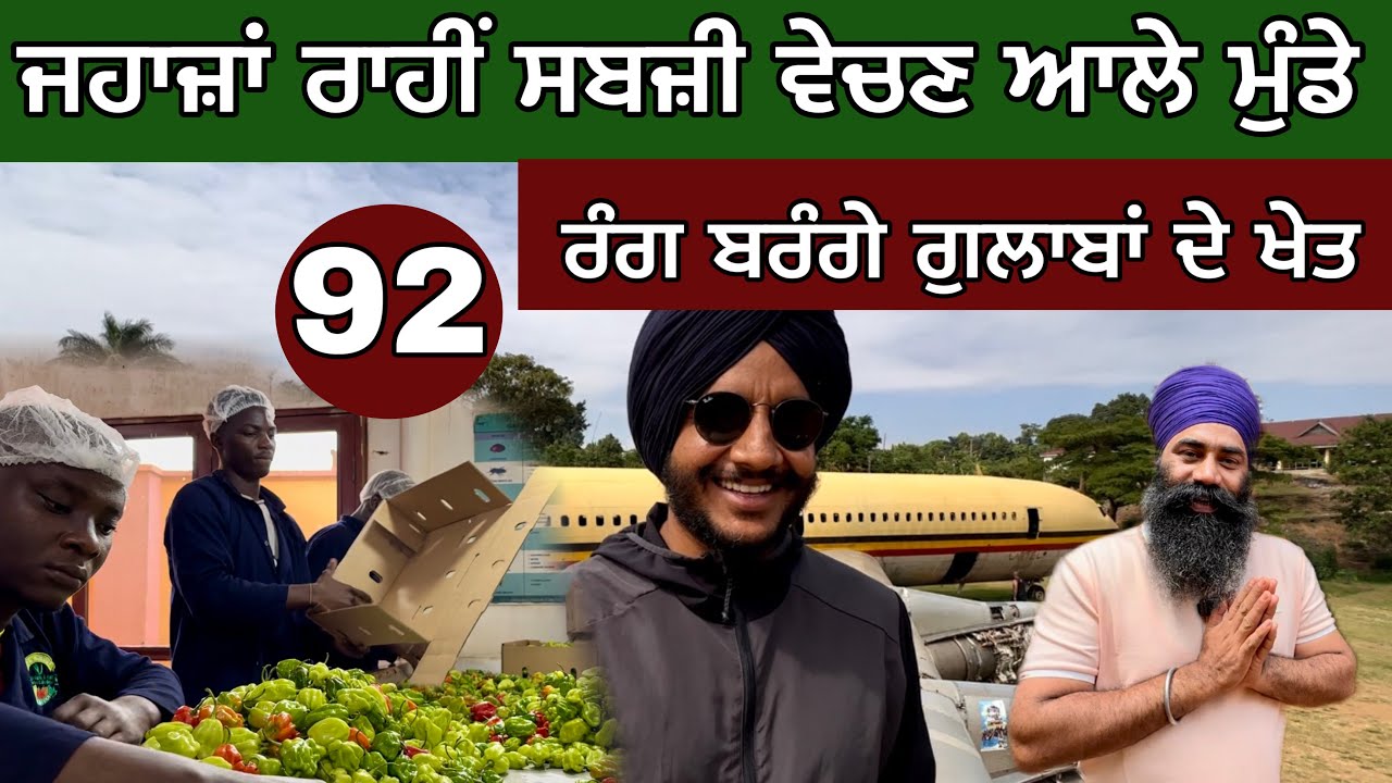 ਜਹਾਜ਼ਾਂ ਰਾਹੀਂ ਸਬਜ਼ੀ ਵੇਚਣ ਆਲੇ ਮੁੰਡੇ। Uganda to UK Vegetable Export। Rose Farming