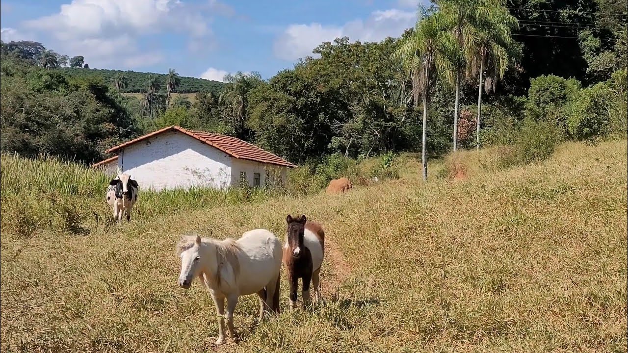 Vocês morariam aqui ?? Botelhos MG