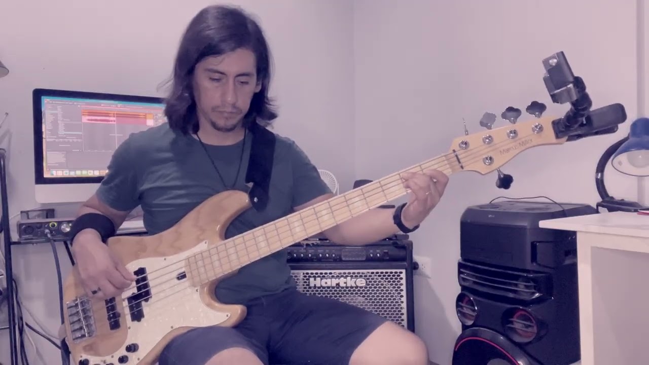 Mi Soledad y Yo - Alejandro Sanz (BASSCOVER)