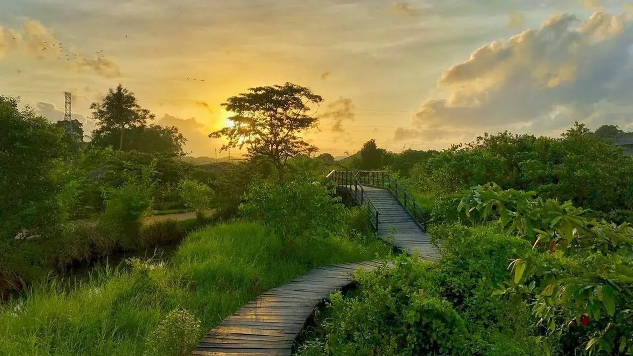 THALAWATHUGODA BIODIVERSITY STUDY PARK (DIYASARU PARK) - WLI Asia Oceania 2024