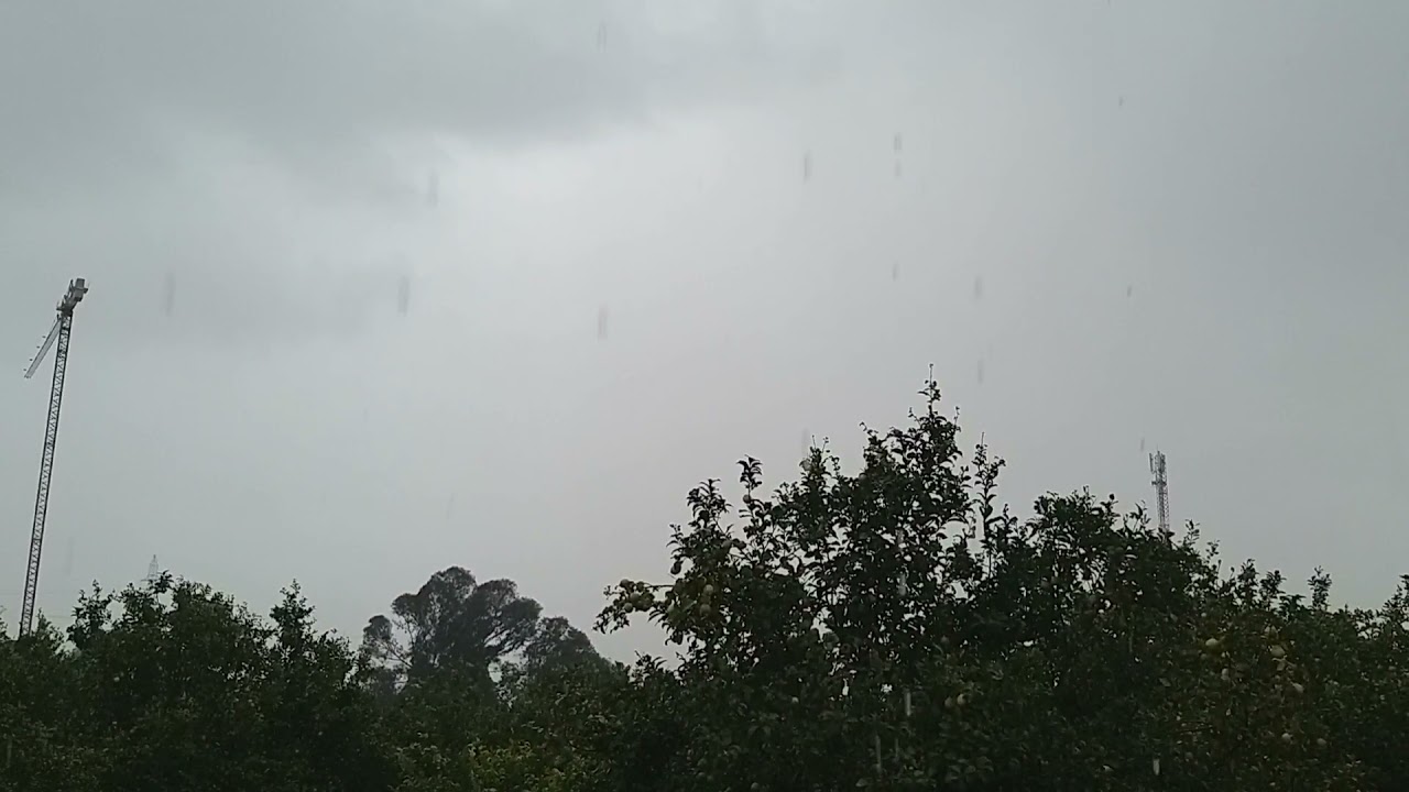 The rain surprised me on the farmجولة في المزرعة وفجأة امطار غزيرة 🌧☔