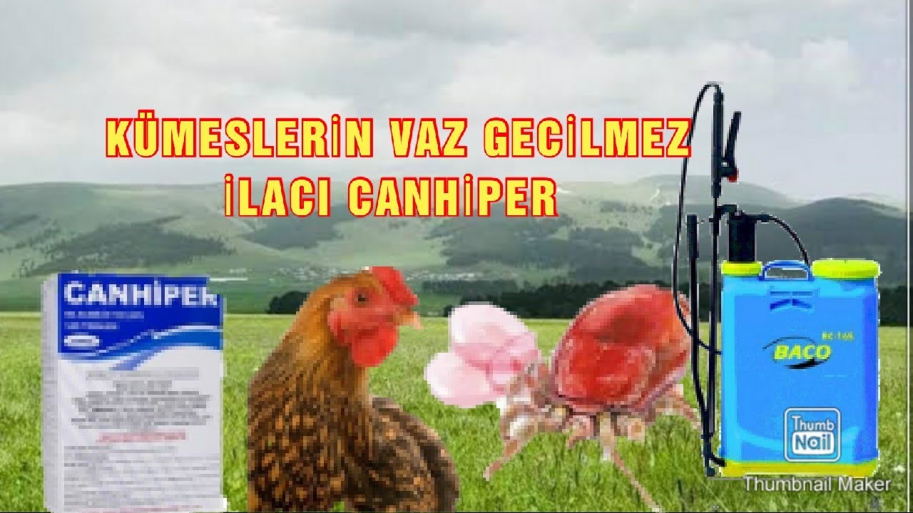 KÜMES BİTLERİNİN TEK DÜŞMANI CANHİPER!! #canhiper #canhipernasılkullanılır