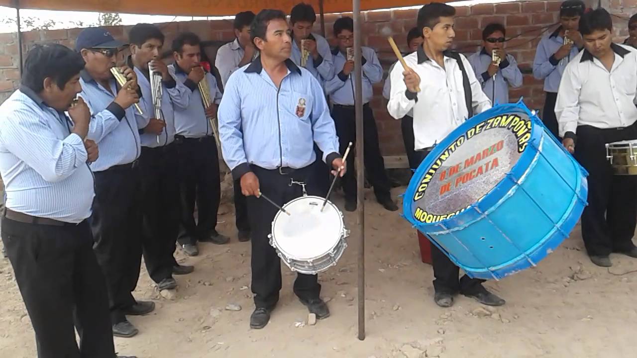 Zampoña 8 de marzo de pocata
