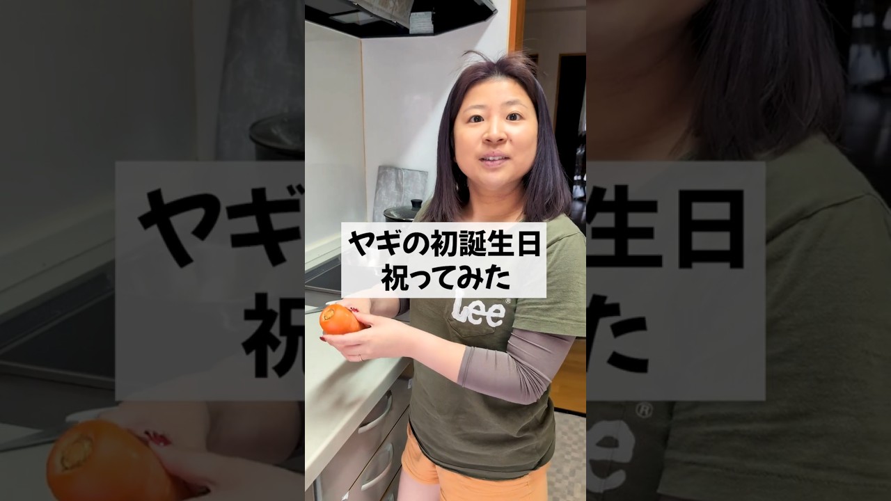 ぶどうちゃん１才なりましたー!! #shorts #shortvideo #ヤギ #トカラヤギ #誕生日 #happybirthday