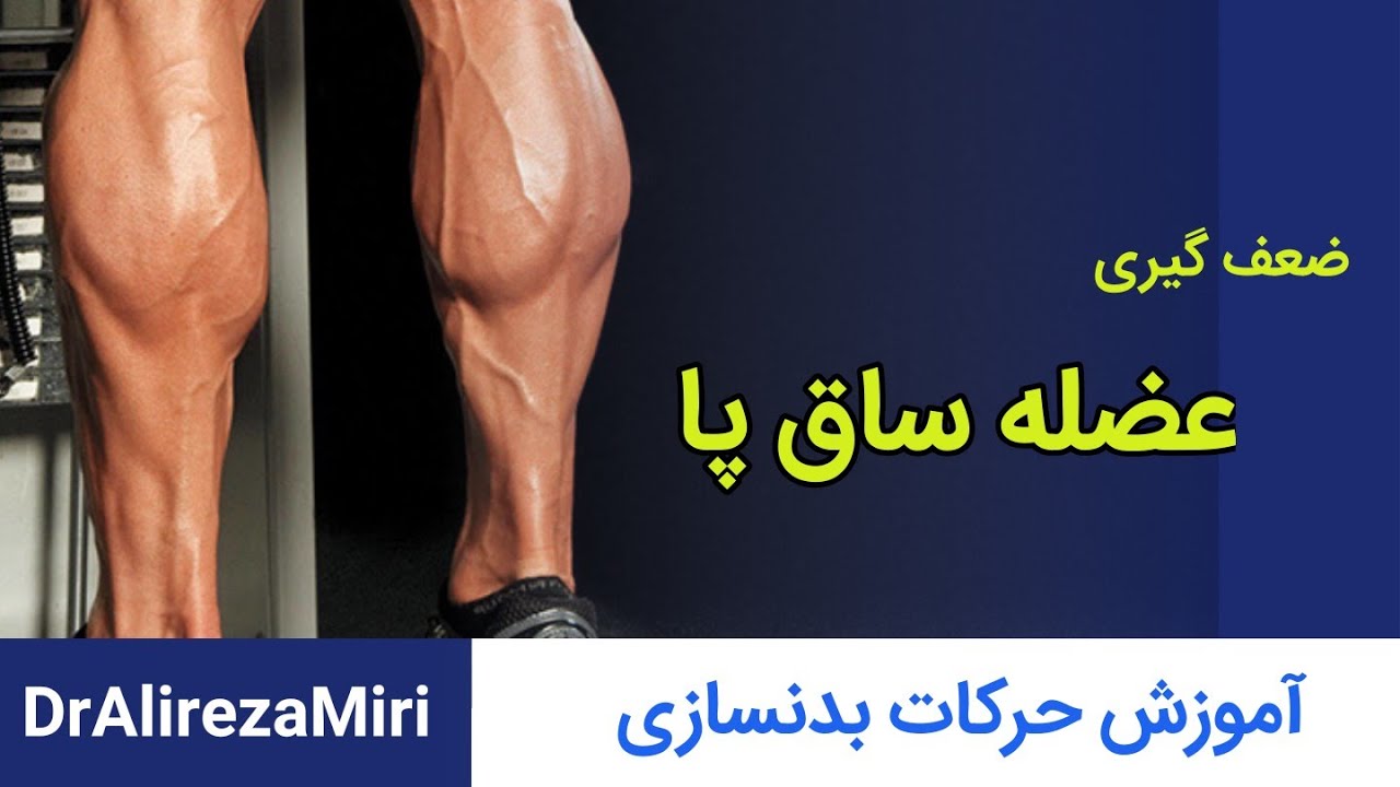 آموزش بدنسازی و ضعف گیری عضلات ساق پا