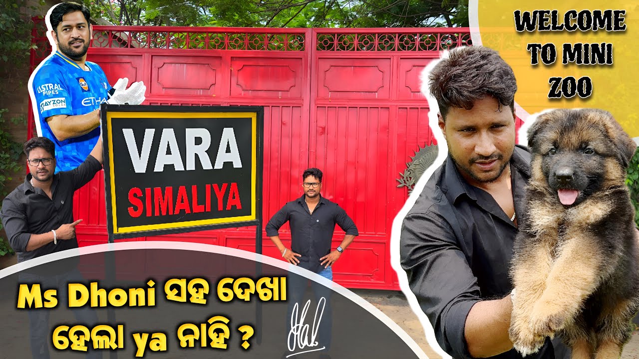 ODISHA ରୁ RANCHI Ms Dhoni ସହ ଦେଖା ହେଲା ya ନାହି ?  || WELCOME TO MINI ZOO  GERMAN SHEPHERD ||