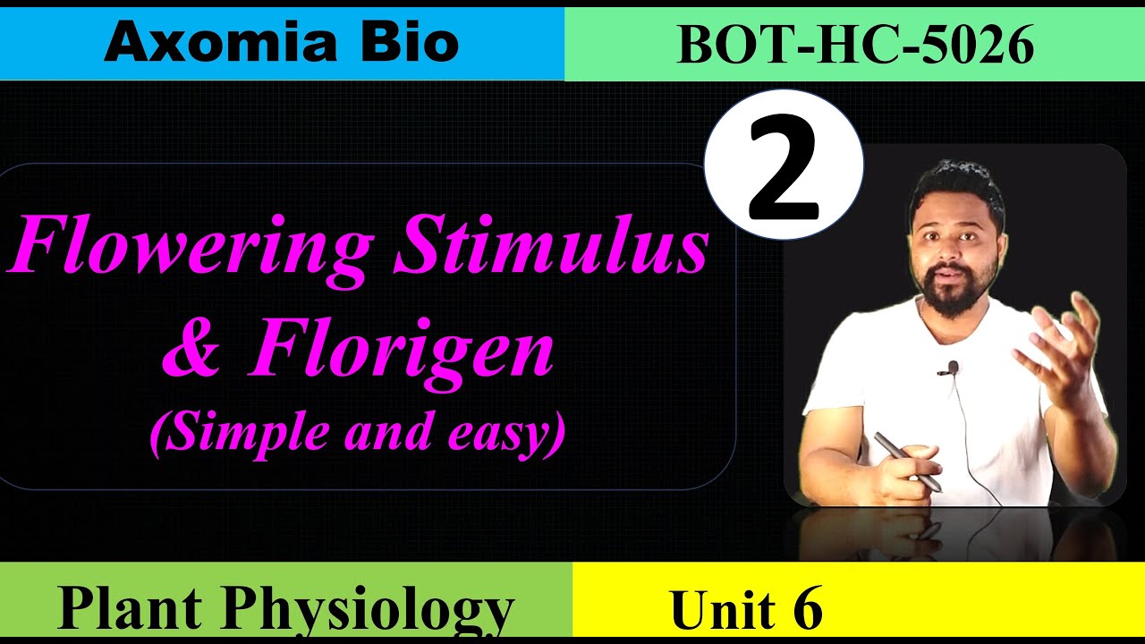 Flowering Stimulus and Florigen| Plant Physiology|5th sem botany|Dr Rajib Borah| Assamese|Axomia Bio