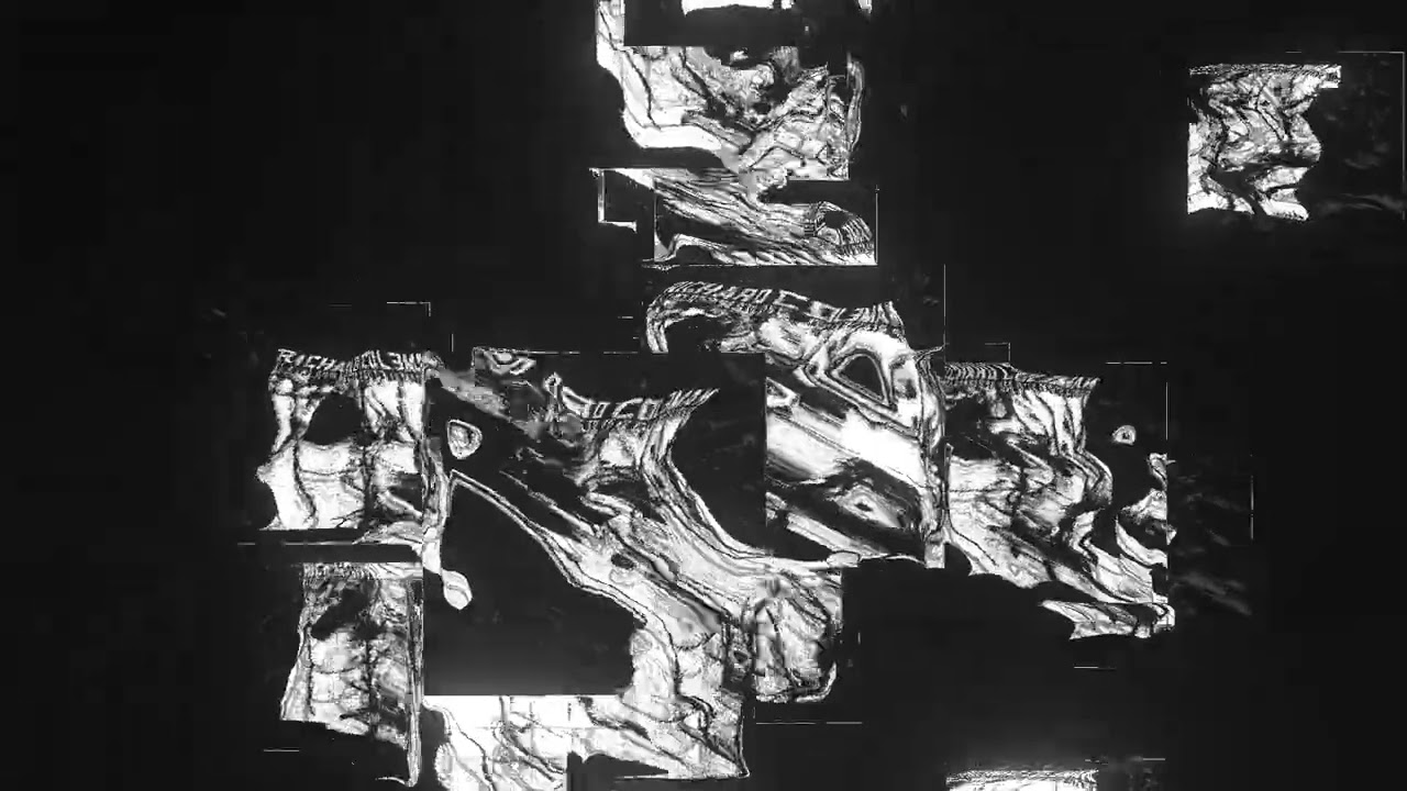 Richard Coleman - Salimos Caminando (visualizer)