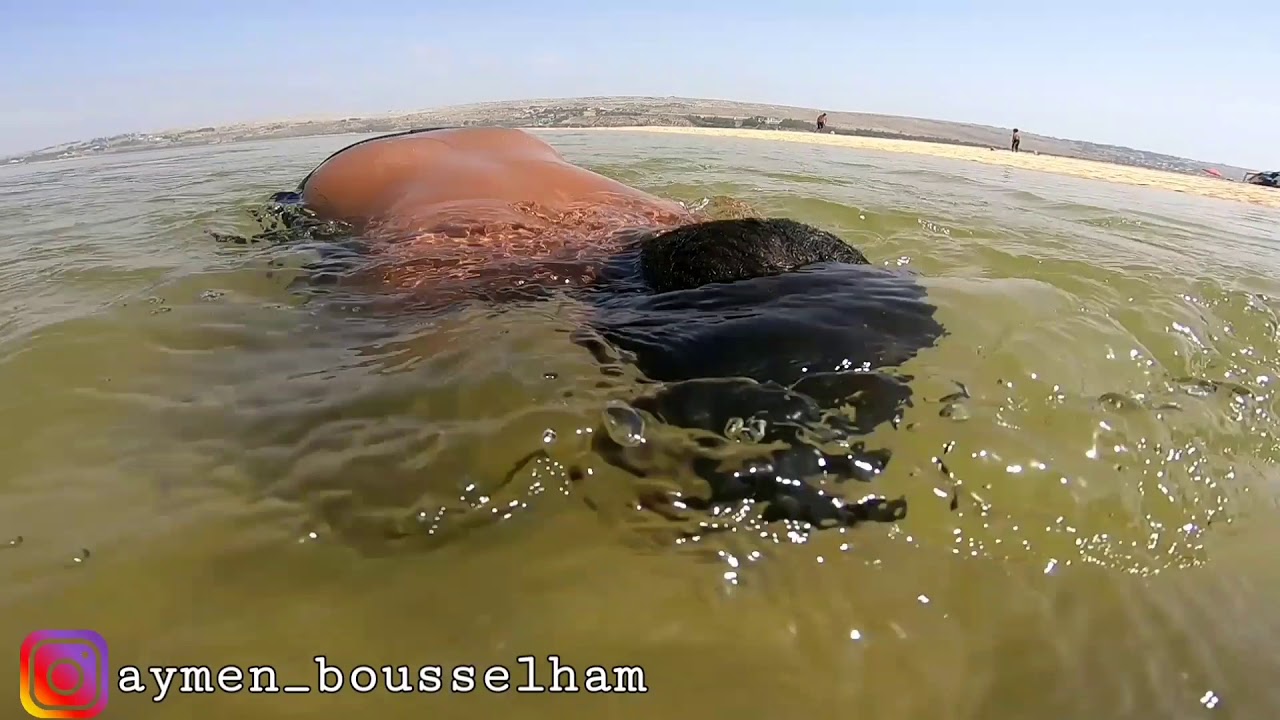 Aymen Bousselham #EP32 : آش دخّل حمارك 🐴 ل لاسومين دو بيغيل 🐎