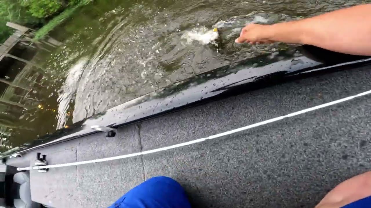 Nice bass on the Tchefuncte river