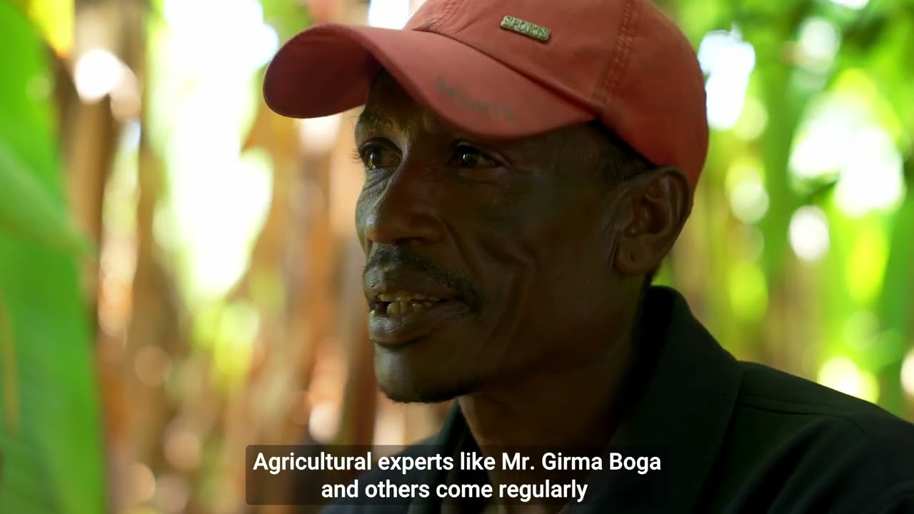 What do farmers prefer? What is the best multipurpose forage mixtures in Ethiopia?