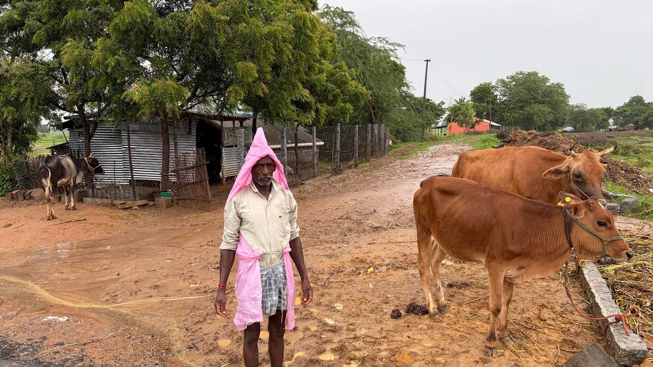மழைக்காலத்தில் அப்பாவின் காலை வேலை|Dad’s Morning Work in the Rainy SeasonIdhu Namma Route #tamil 