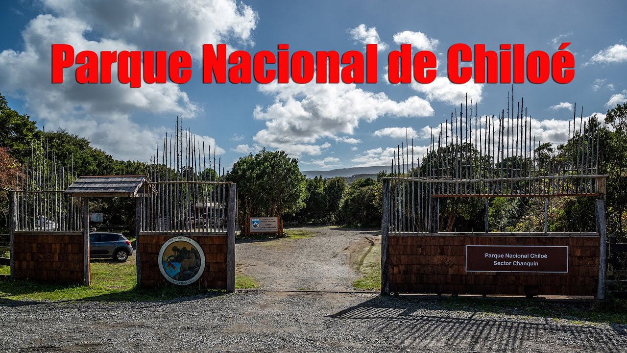 Parque Nacional de Chiloé: Un Tesoro Natural de Chile. #cucao    #naturaleza   #chile