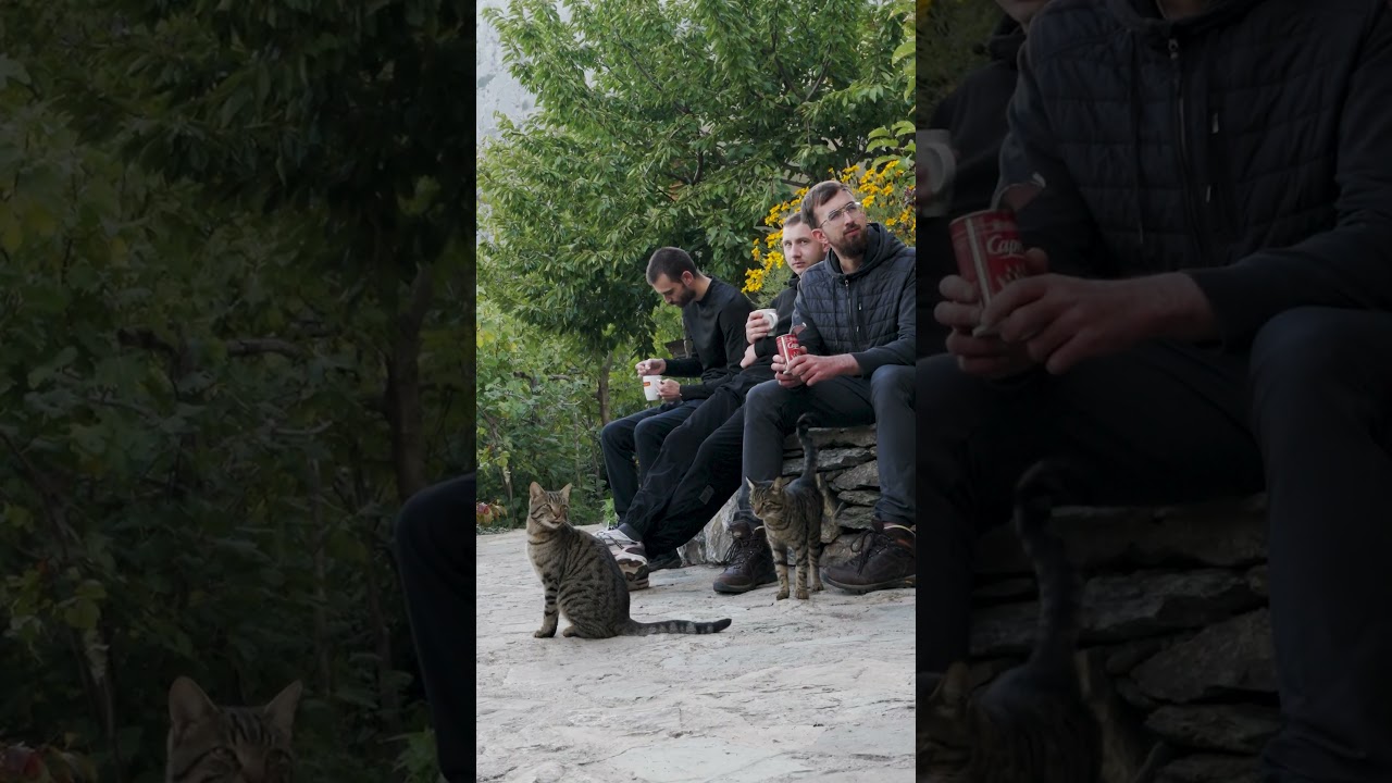 Один день у афонского старца