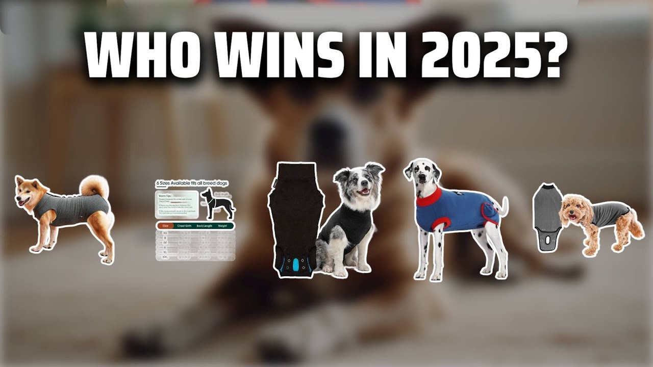 The Top 5 Best Dog Neuter Suit in 2025 - Must Watch Before Buying!