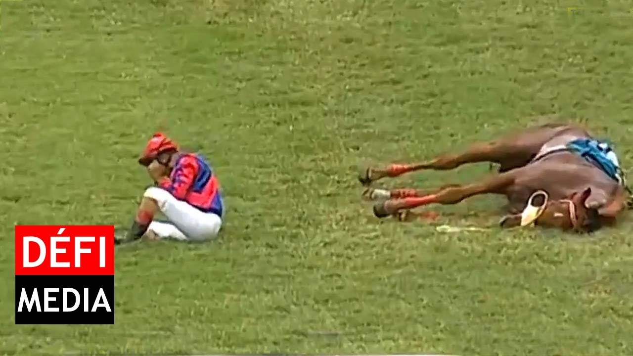 Chute dans la deuxième course : Mounted Warrior euthanasié, plus de peur que de mal pour Bheekary