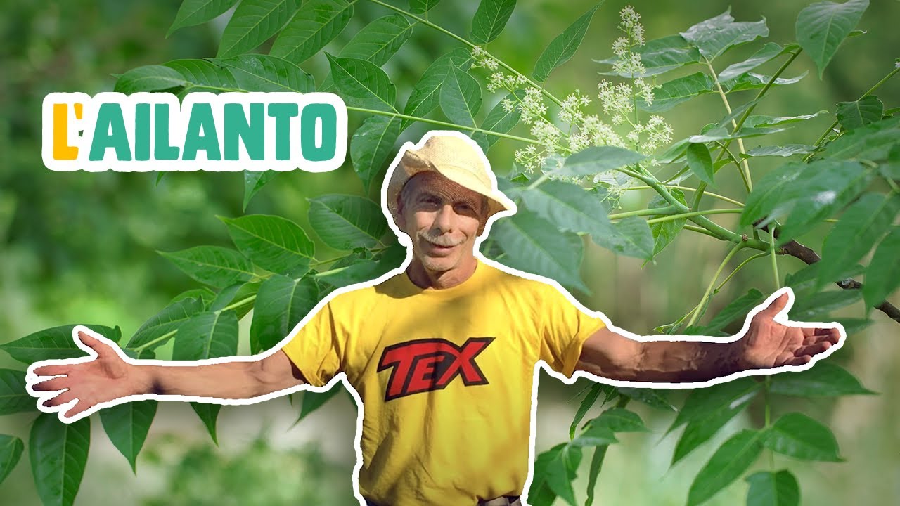 GIOVA LOVES NATURE 🌳 - Ep.29 - L'AILANTO