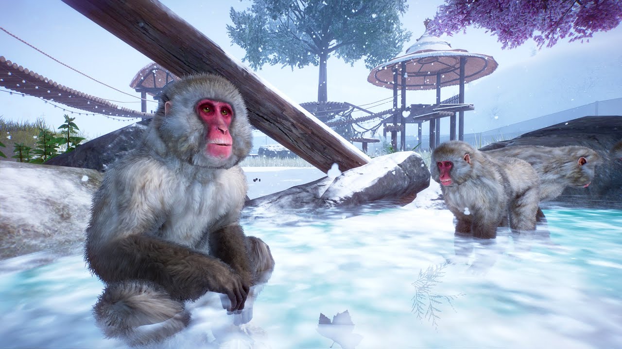 PLANET ZOO Japanese Macaque - Arctic Research Park