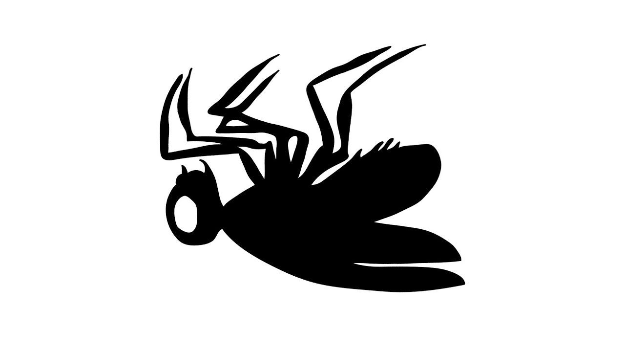 Subscribe to my Channel | Lunar C