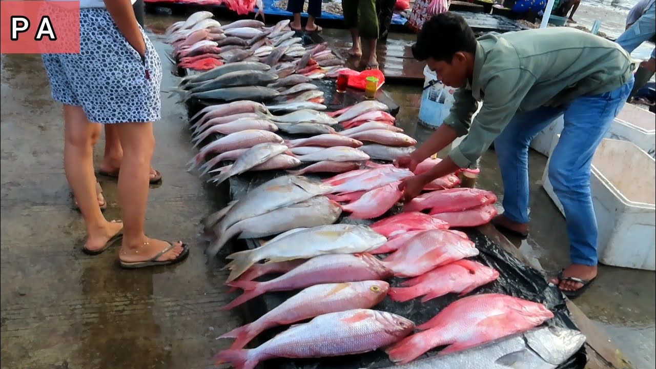 Pasar ikan tradisional Papua Barat ikan kakap dan karapu merah jadi komuditinya