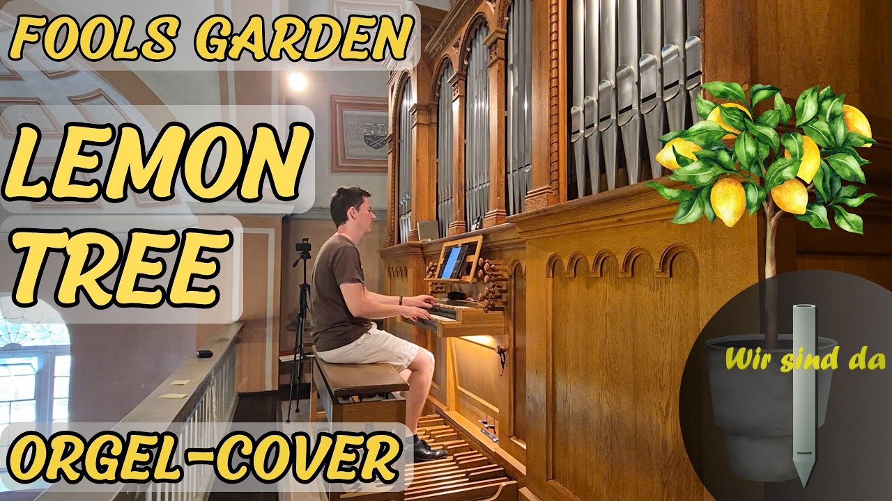 „Lemon Tree“ (Fool’s Garden) | Erfrischendes Kirchenorgel-Cover 🍋🎹⛪