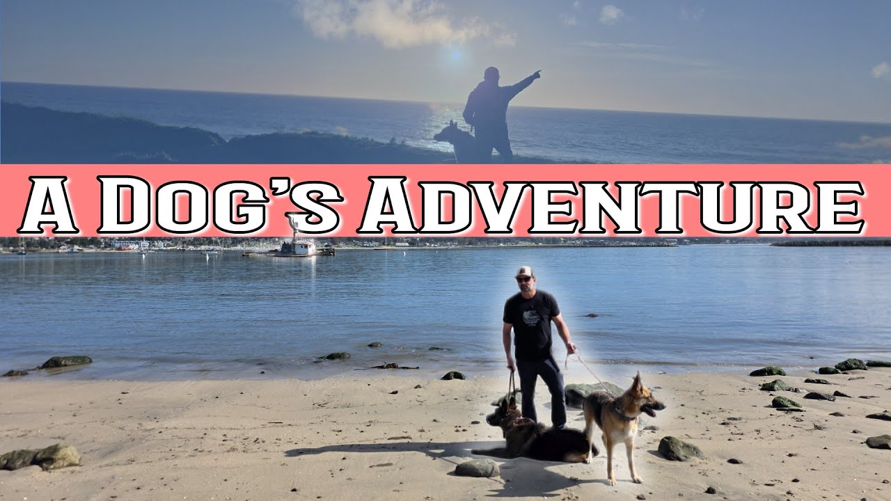 Half Moon Bay, CA| Things to do with dogs plus camping