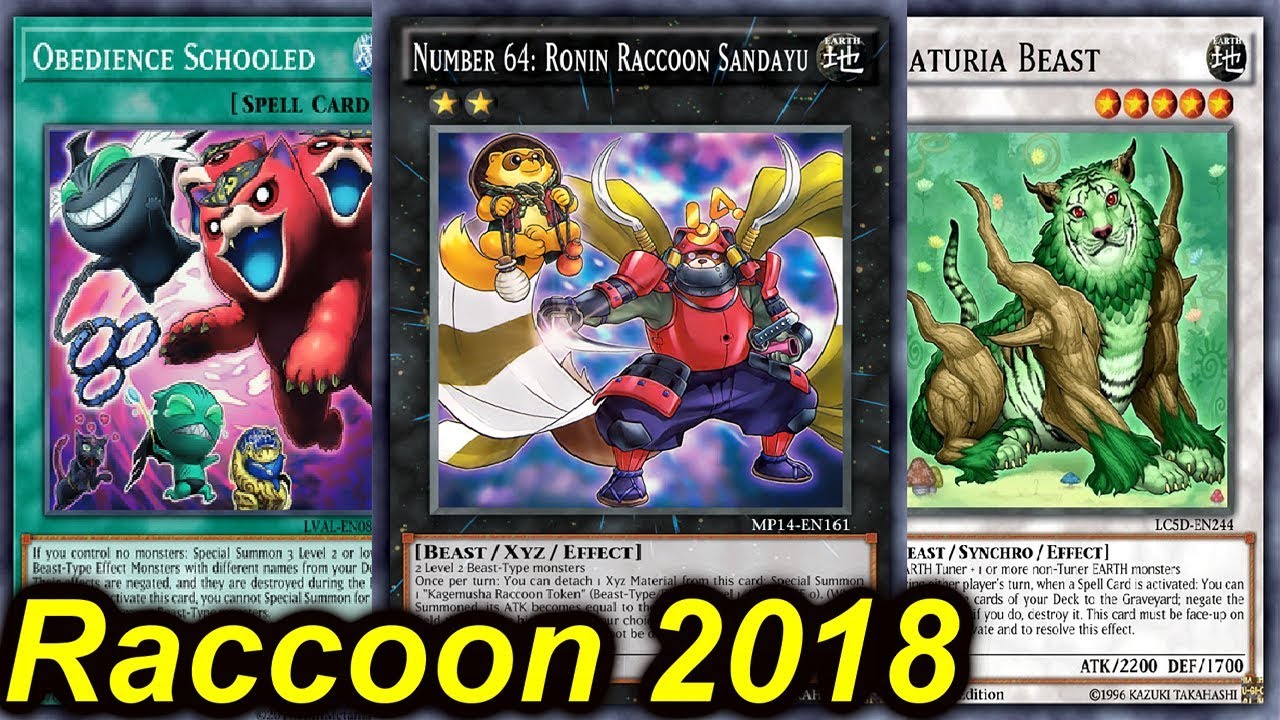 【YGOPRO】RACCOON DECK 2018