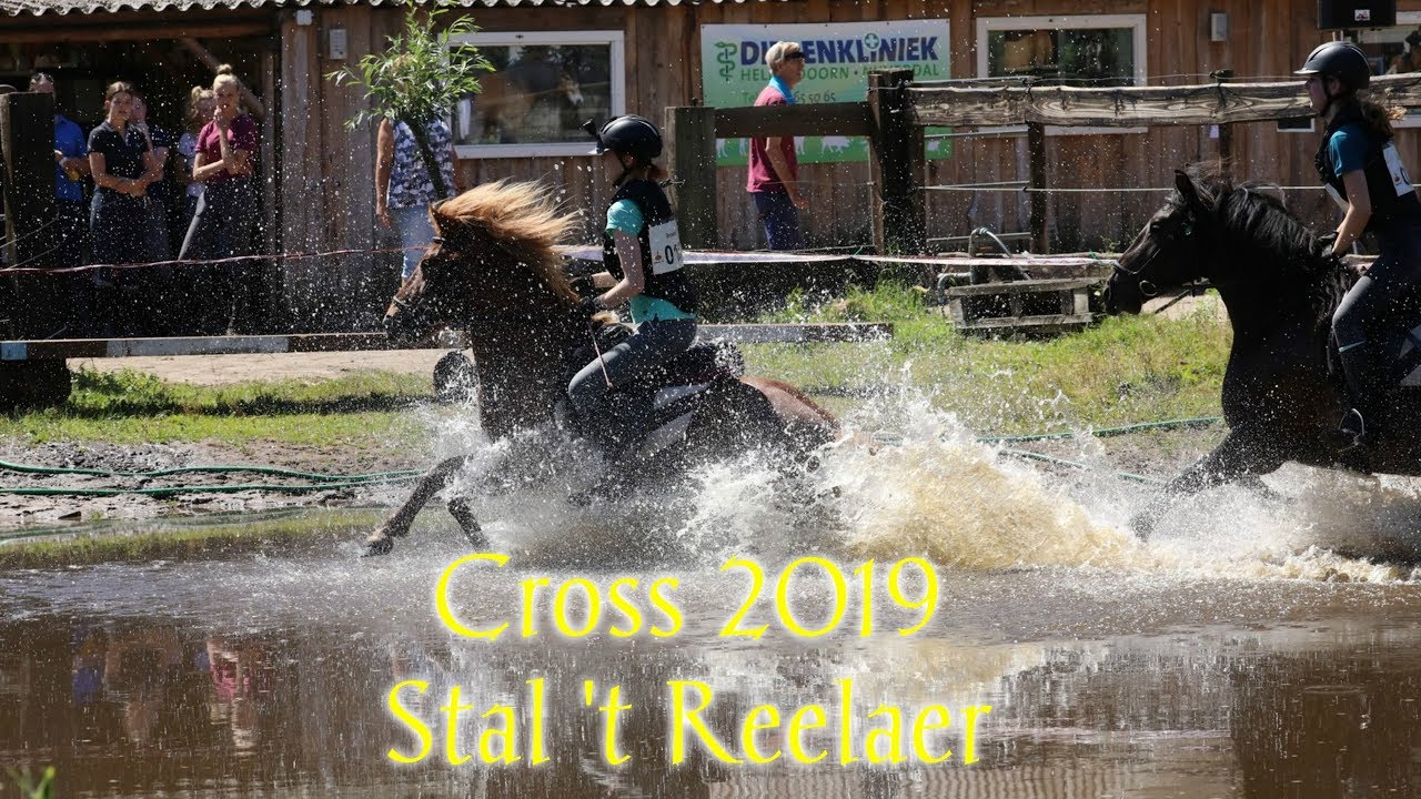 Cross 2019 | Stal 't Reelaer