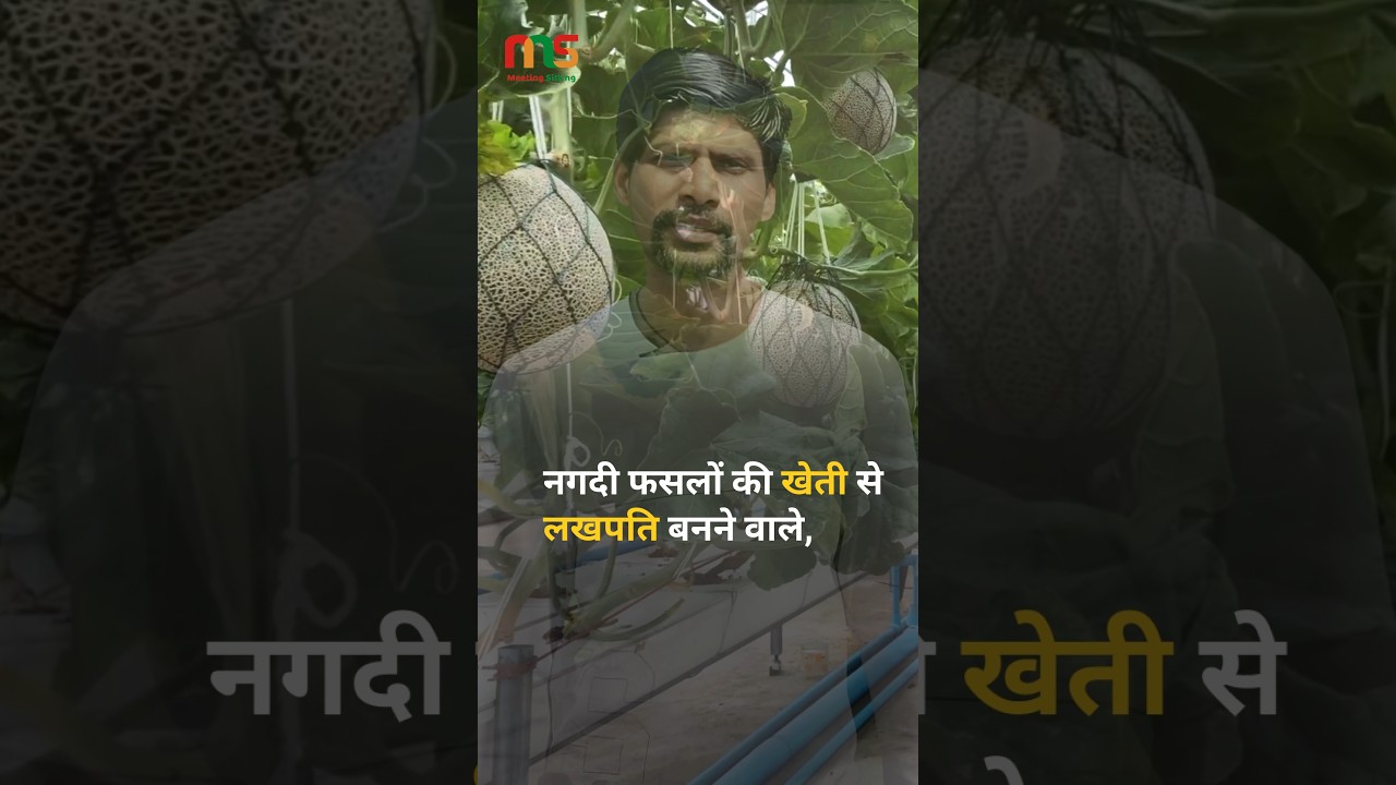 नगदी फसलों में मुनाफा || Cash Crops Business Idea || Meeting Sitting 