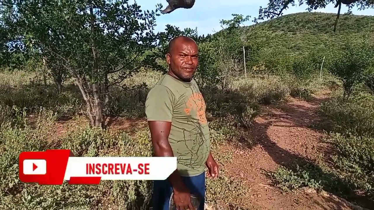 COM O MEU AMIGO ÍNDIO CONHECIDO COMO DANDA DA ALDEIA MASSAPÊ COLHENDO UMA ABELHA BRANCA