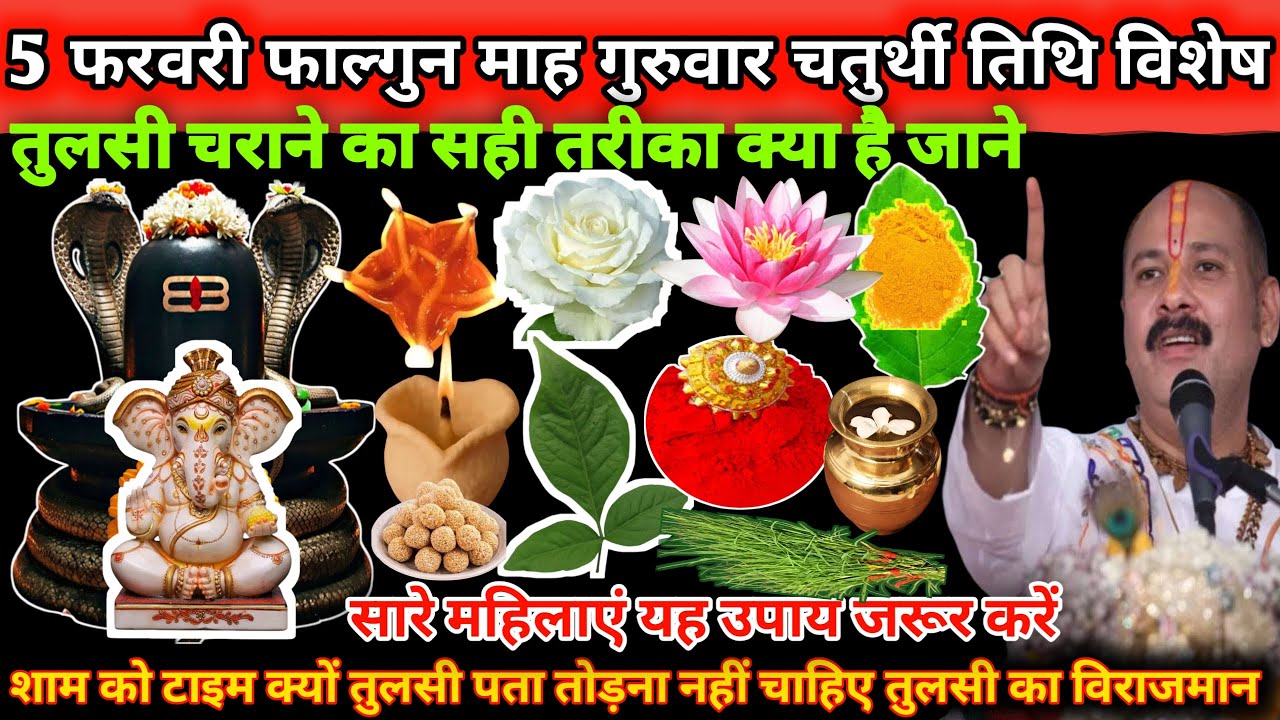 5 फरवरी गुरुवार चतुर्थी तिथि के दिन तुलसी चराने का सही तरीका क्या है जाने इस उपाय से🌿🔱#upay#live 