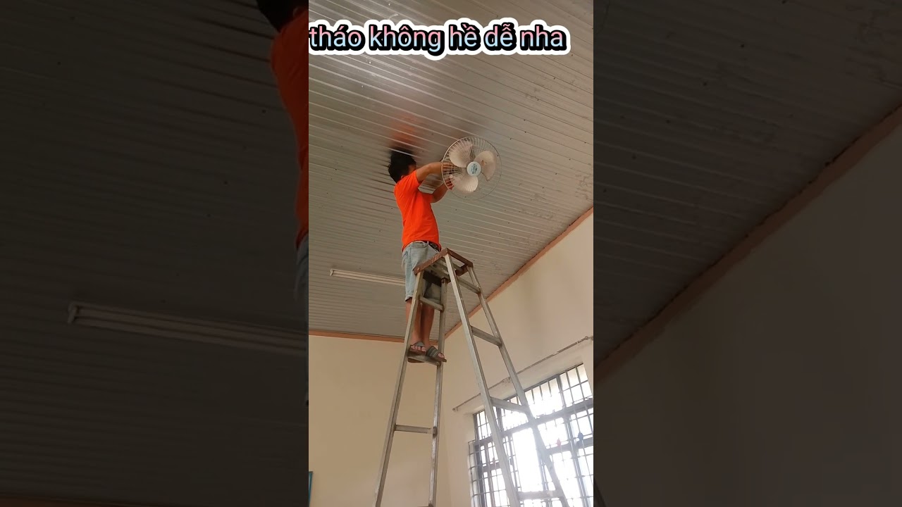 Bố Tom Jerry _ Chủ Nhật Của Bố