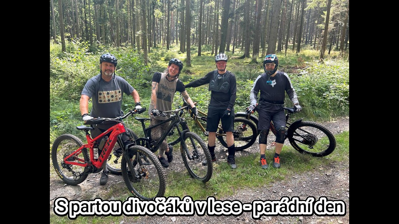 S partou divočáků v lese ...