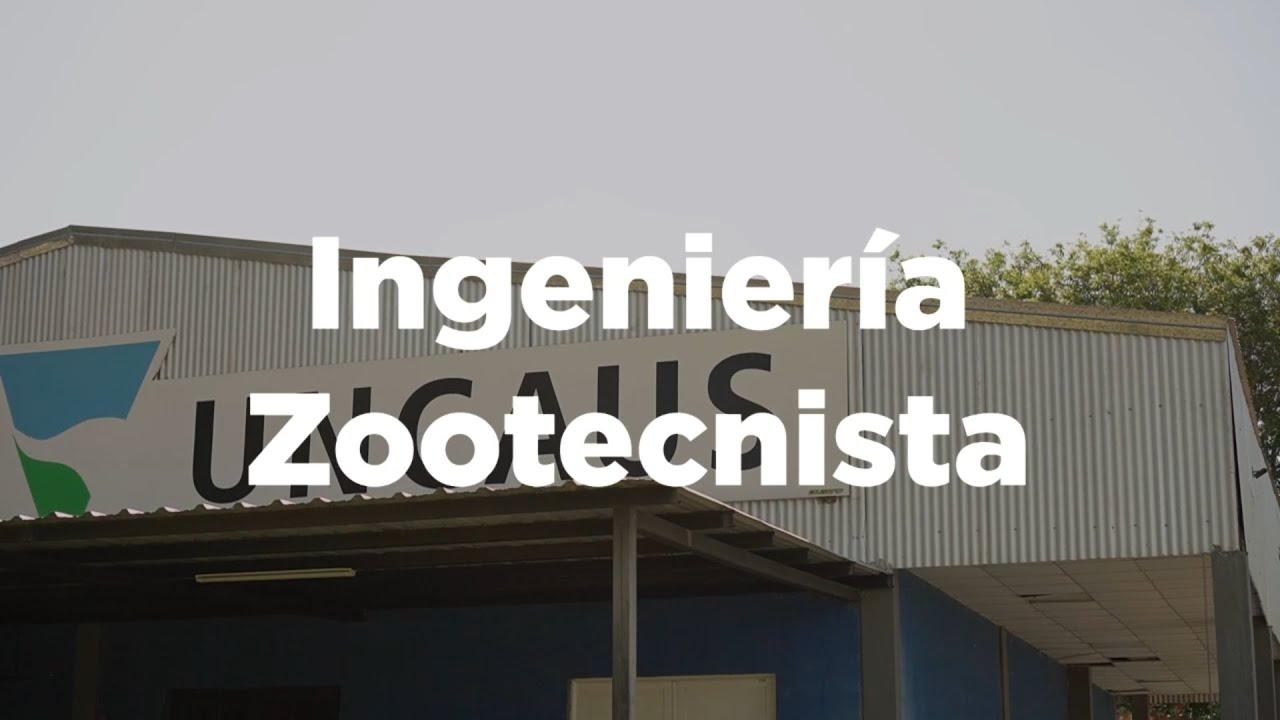 Carrera por carrera _ Capitulo 5: Ingeniería Zootecnista