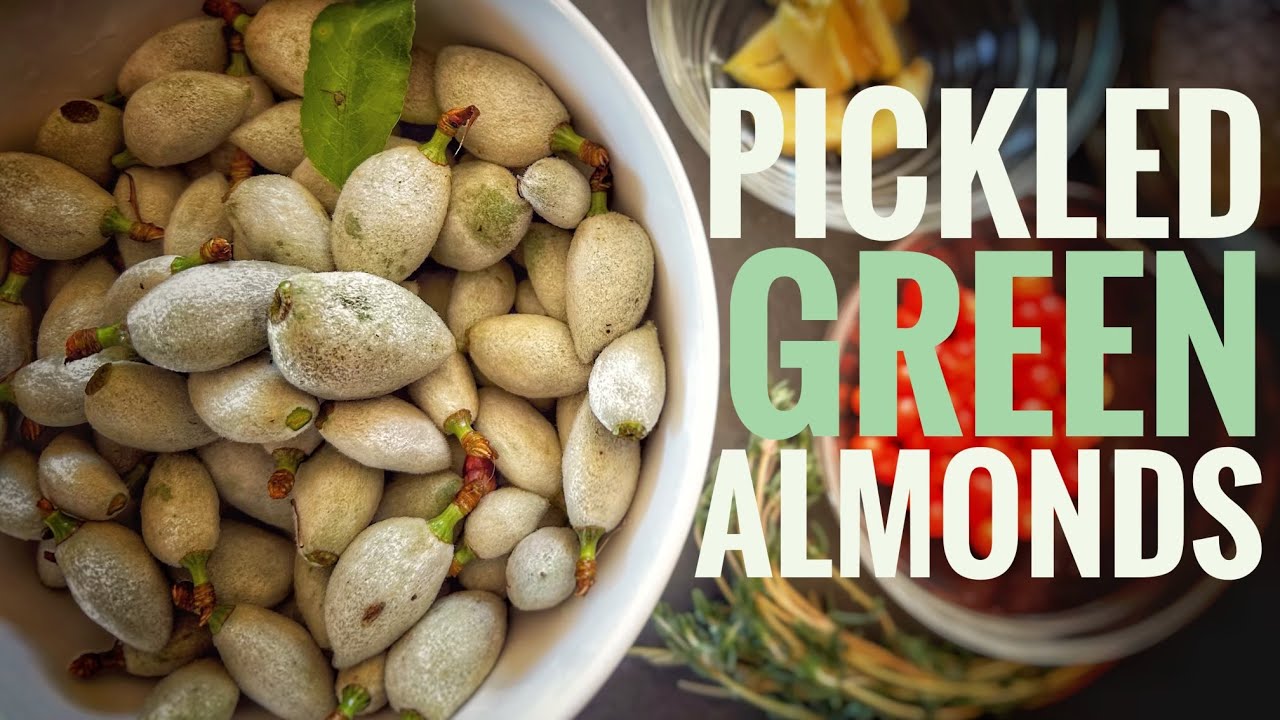Pickled Green Almonds