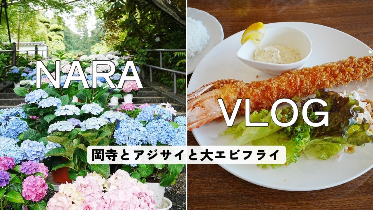 No.18/夫婦の休日Vlog/奈良/岡寺とアジサイと大エビフライ