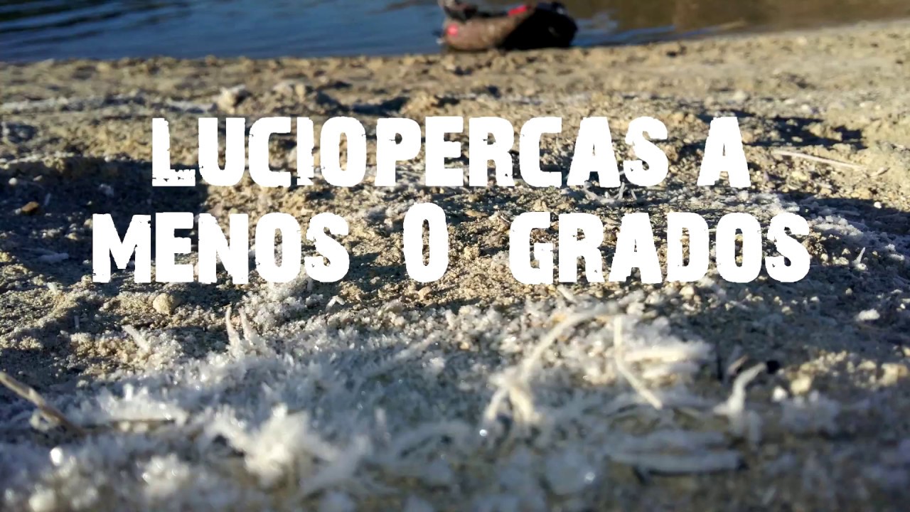 Pesca luciopercas en invierno /ZANDER FISHING