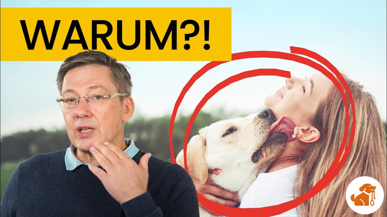 Darum leckt dein Hund dich ab!