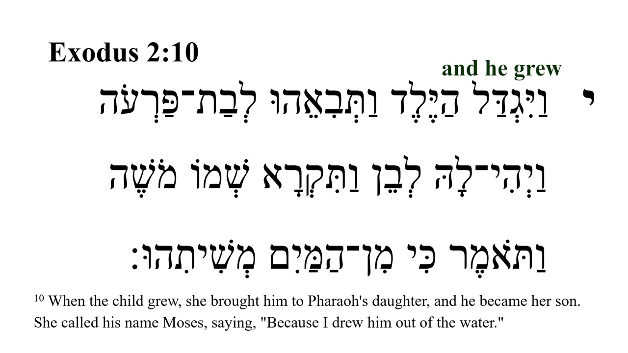Exodus 2 -- Hebrew Bible Speaker with English Captions