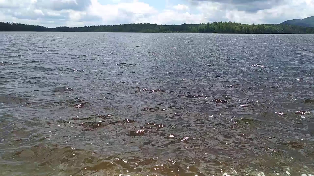 Lower Saint Regis Lake - Paul Smith's (Adirondack New York)