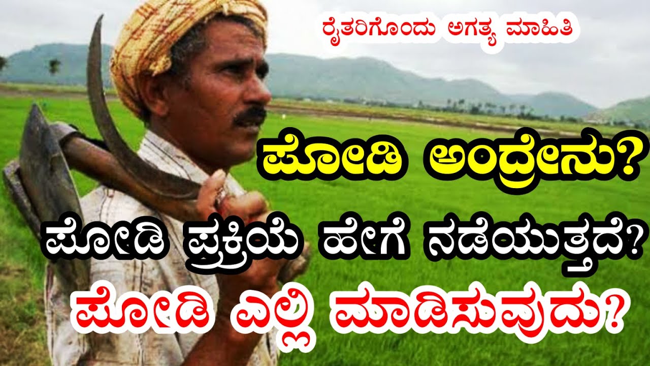 What is podi|ಪೋಡಿ ಅಂದ್ರೇನು? ಪೋಡಿ ಪ್ರಕ್ರಿಯೆ ಹೇಗೆ ನಡೆಯುತ್ತದೆ? ಪೋಡಿ ಎಲ್ಲಿ ಮಾಡಿಸುವುದು?Phodi process