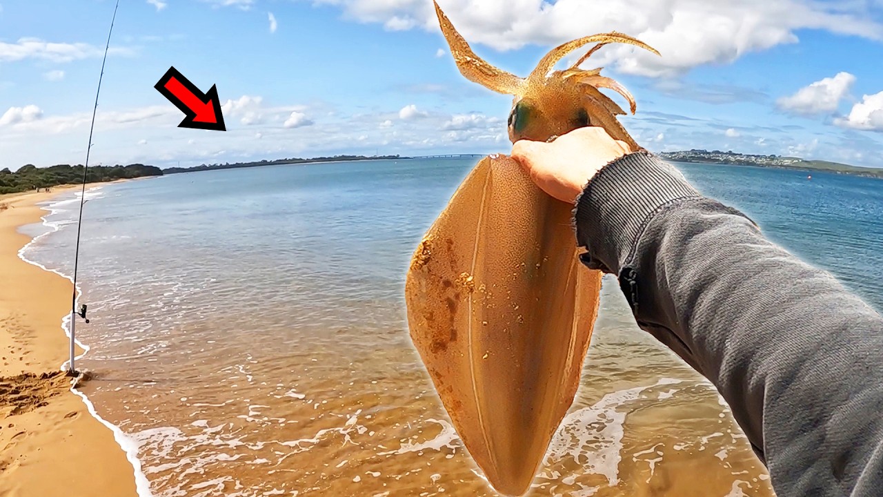 Insane Beach Fishing with Giants Everywhere!!