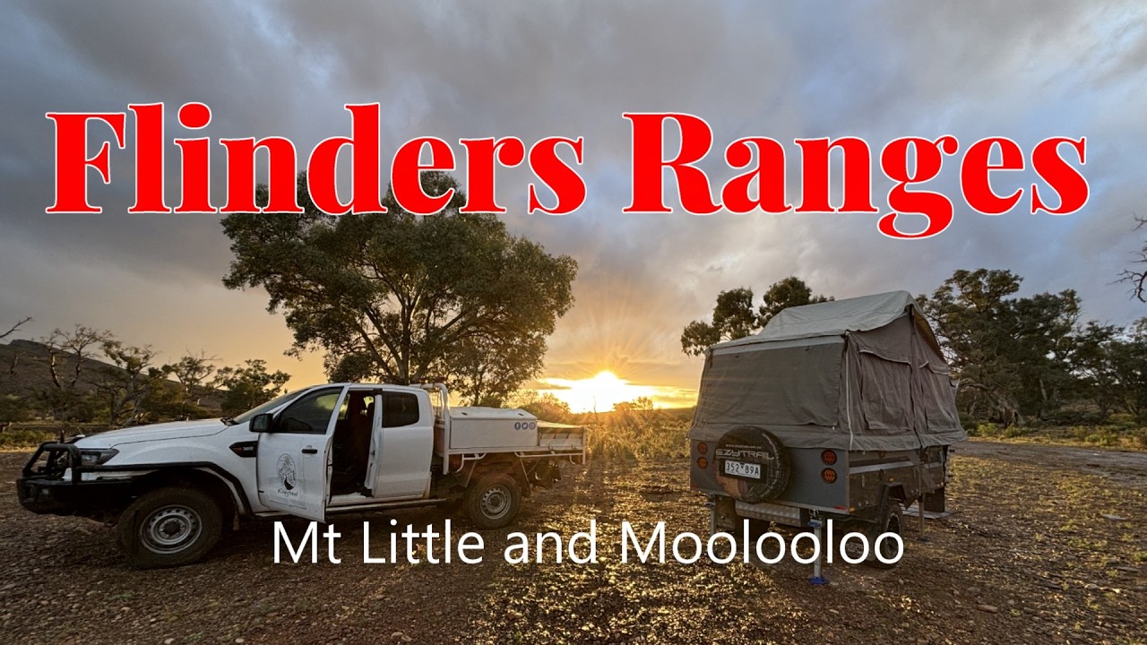 Mt Little Station and Moolooloo Station