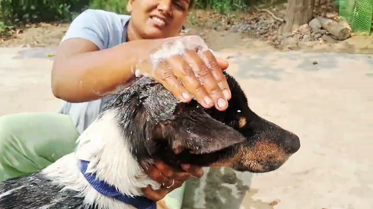 Kalu ki achhe se safai ho rhi hai 😁😄 
